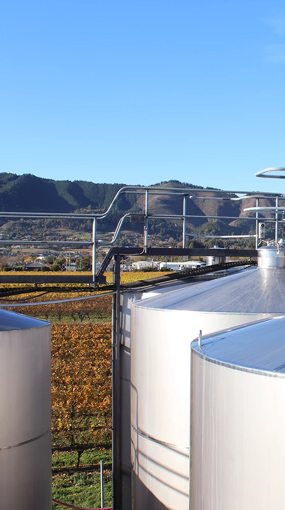 Waimea Estates Gewürztraminer 2021/22, Nelson - Image 3