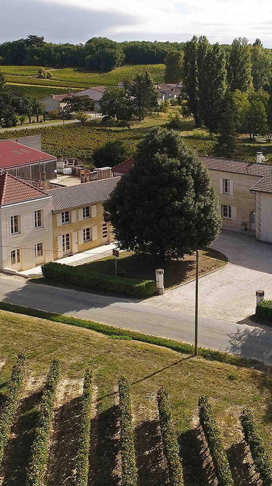 Château Tour Bayard 2019/20, Montagne-Saint-Émilion - Image 4