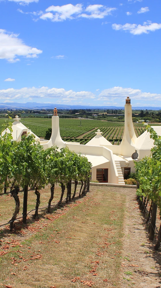 Te Mata ′Coleraine′ 2018, Hawkes Bay - Image 2