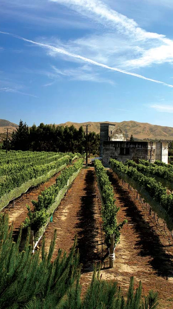 Saint Clair ′Pioneer Block′ Albariño 2020, Marlborough - Image 3