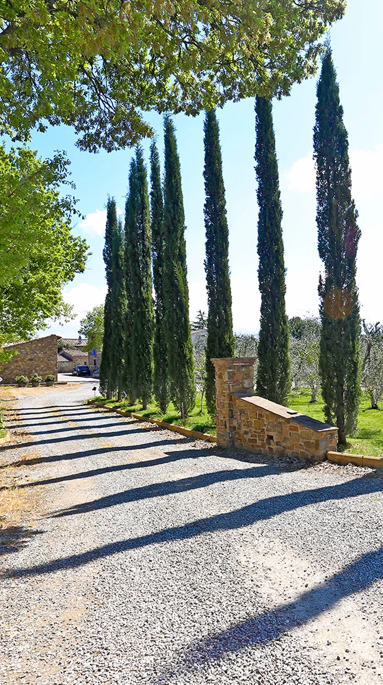 Agostina Pieri Brunello Di Montalcino DOCG 2017/18 - Image 3