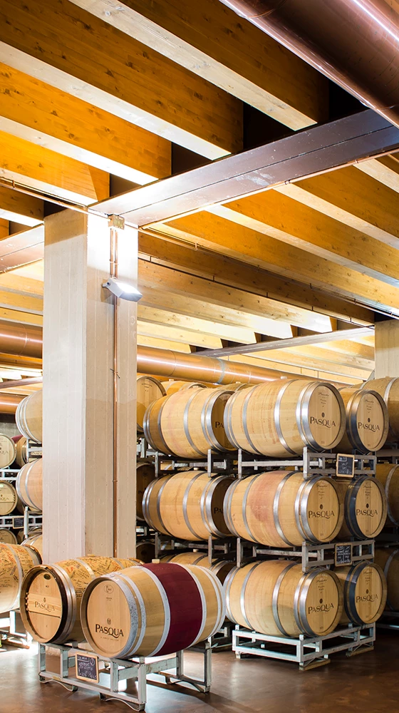 Pasqua ′PassioneSentimento′ Passimento Bianco 2020/21, Veneto - Image 2