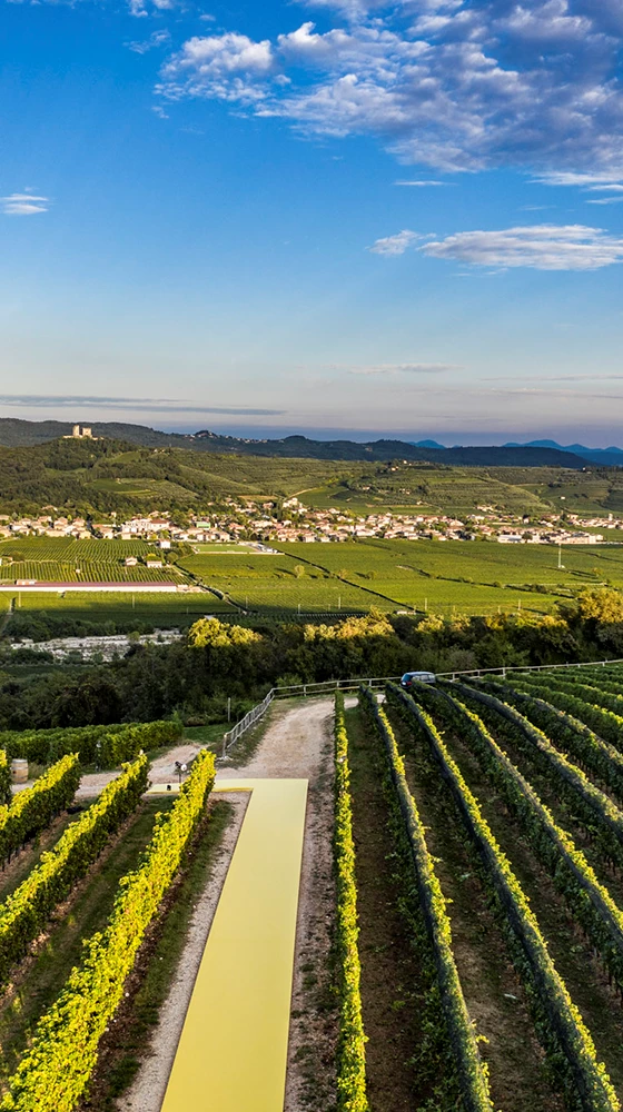 Pasqua ′PassioneSentimento′ Passimento Bianco 2020/21, Veneto - Image 3