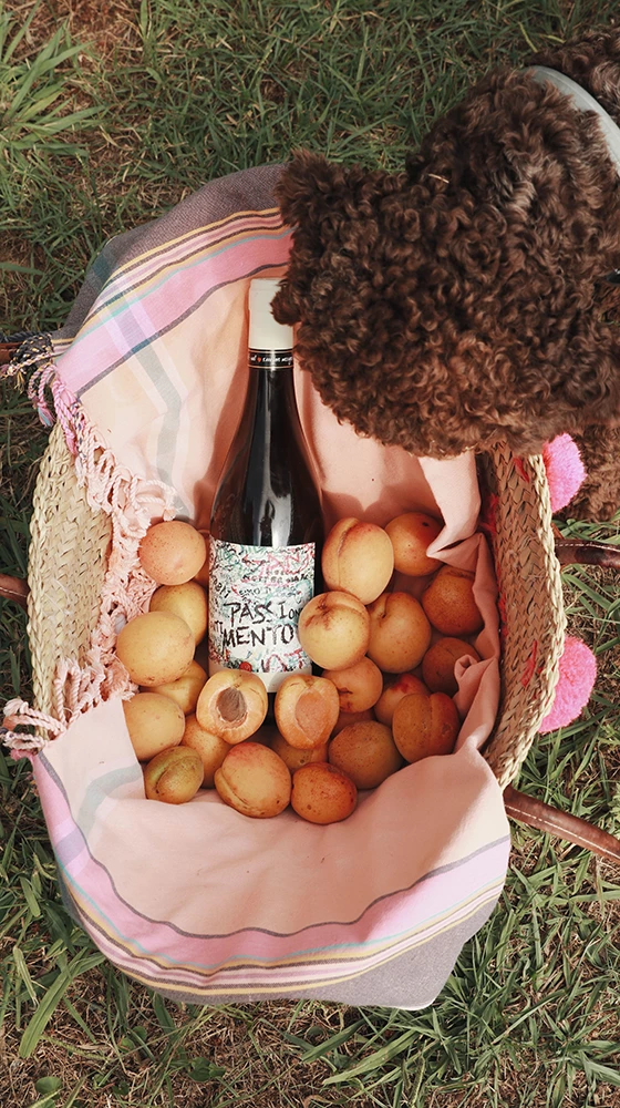 Pasqua ′PassioneSentimento′ Passimento Bianco 2020/21, Veneto - Image 4