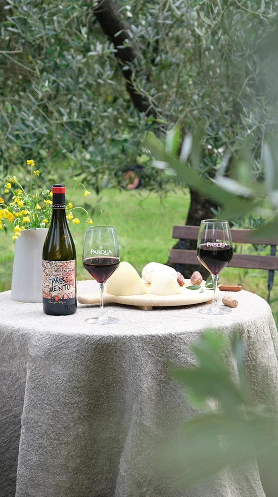 Pasqua ′PassioneSentimento′ Passimento Rosso 2020/21, Veneto - Image 2