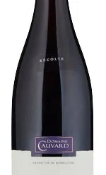 Domaine Cauvard Chorey-lès-Beaune 2020/21