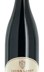Domaine Lucien Lardy Moulin-à-Vent 2019/20