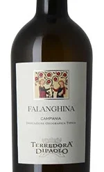 Terredora Falanghina 2020/21